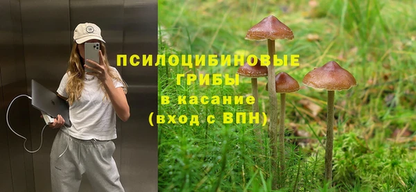 кокс Нея