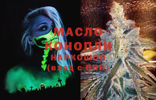 соль ск Новодвинск
