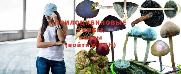 круглые Нефтекумск